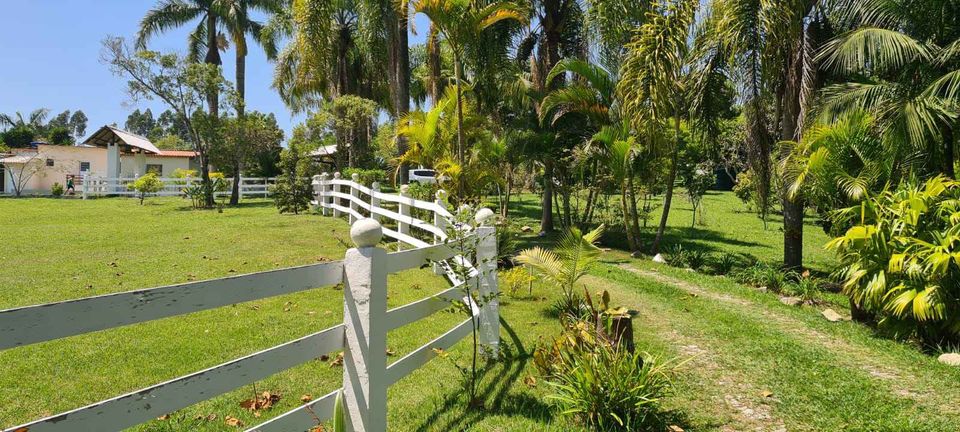 Detalhes da natureza